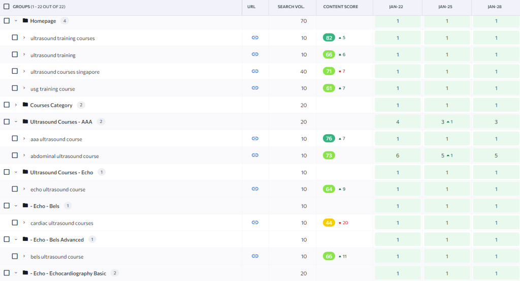 Portfolio 1 - Keywords Rankings - AIU SG